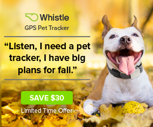 Never lose your pet with the Whistle GPS Pet Tracker