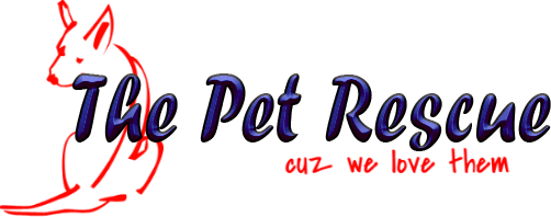 The Pet Rescue